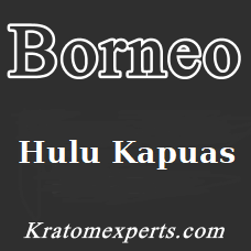 Borneo Hulu Kapuas - Starting at € 11,50 per 100 gram